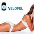Velofel - asli - official website - forum