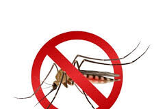 MosquitoBlock - kesan - cara pakai - cara makan - ada di sana efek samping