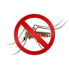 MosquitoBlock - kesan - cara pakai - cara makan - ada di sana efek samping