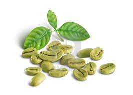 green-coffee-bean-medicine-harga-di-farmasi-di-lazada-web-pengeluar