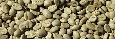 Green Coffee Beans - Malaysia - ubat - review - di forum